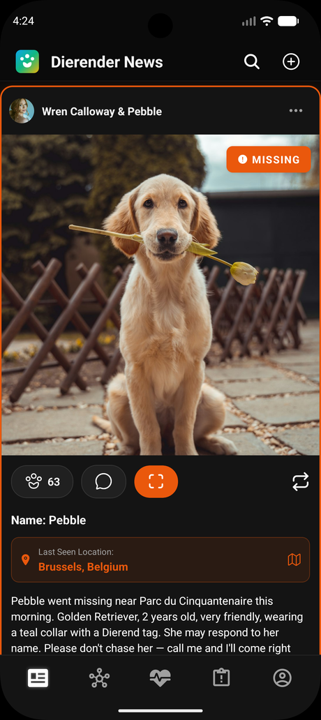 Dierend missing-pet alert